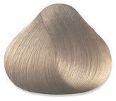 10.00-10NN (Lightest Intense Natural Blonde)