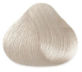 11.1-11A (High Lift Ash Blonde)