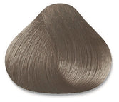 6.18-6MS (Dark Metallic Silver Blonde)