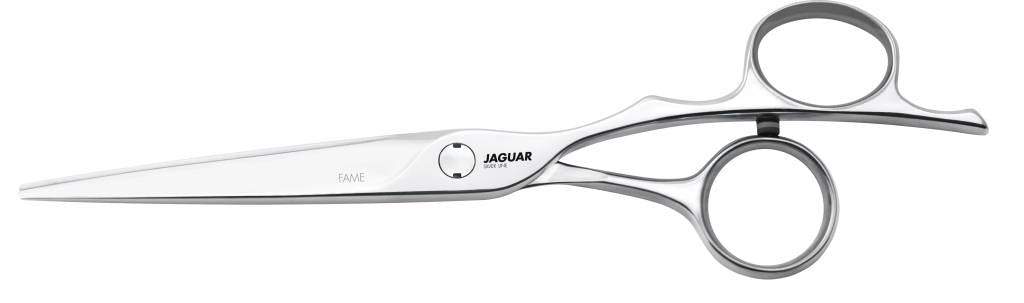 Jaguar Silver Line Fame Knipschaar*