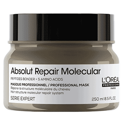 Loreal Serie Expert Absolut Repair Molecular Mask Haarmasker (250ml)