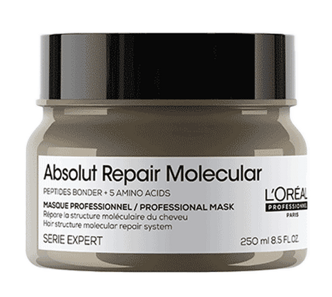 Loreal Serie Expert Absolut Repair Molecular Mask Haarmasker (250ml)