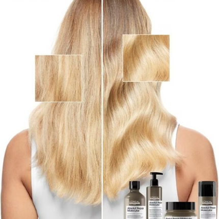 Loreal Serie Expert Absolut Repair Molecular Mask Haarmasker (250ml)