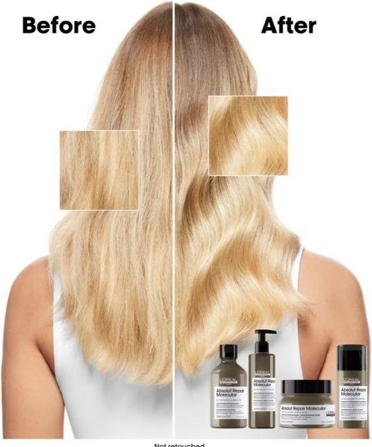 Loreal Serie Expert Absolut Repair Molecular Mask Haarmasker (250ml)