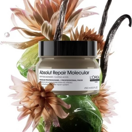 Loreal Serie Expert Absolut Repair Molecular Mask Haarmasker (250ml)