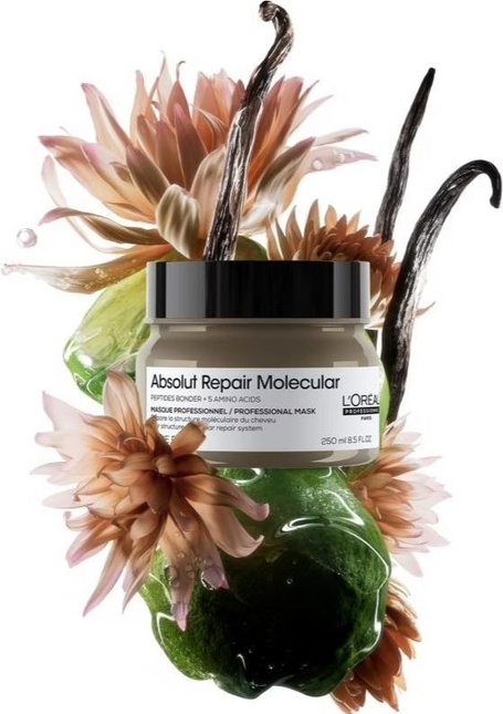 Loreal Serie Expert Absolut Repair Molecular Mask Haarmasker (250ml)