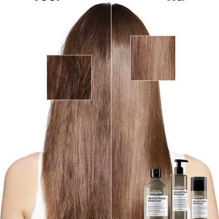 Loreal Serie Expert Absolut Repair Rinse-Off Serum (250ml)