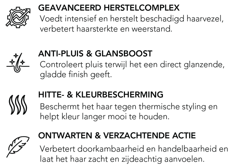 Max Pro 10 in 1 Absolute Repair Leave-in Behandeling (250ml)